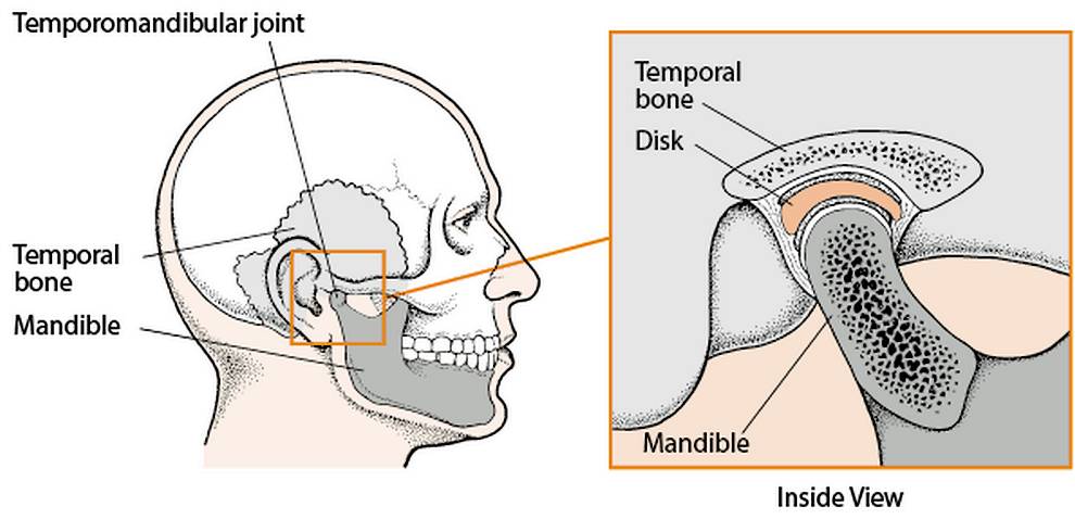 Temporomandibular joint structure