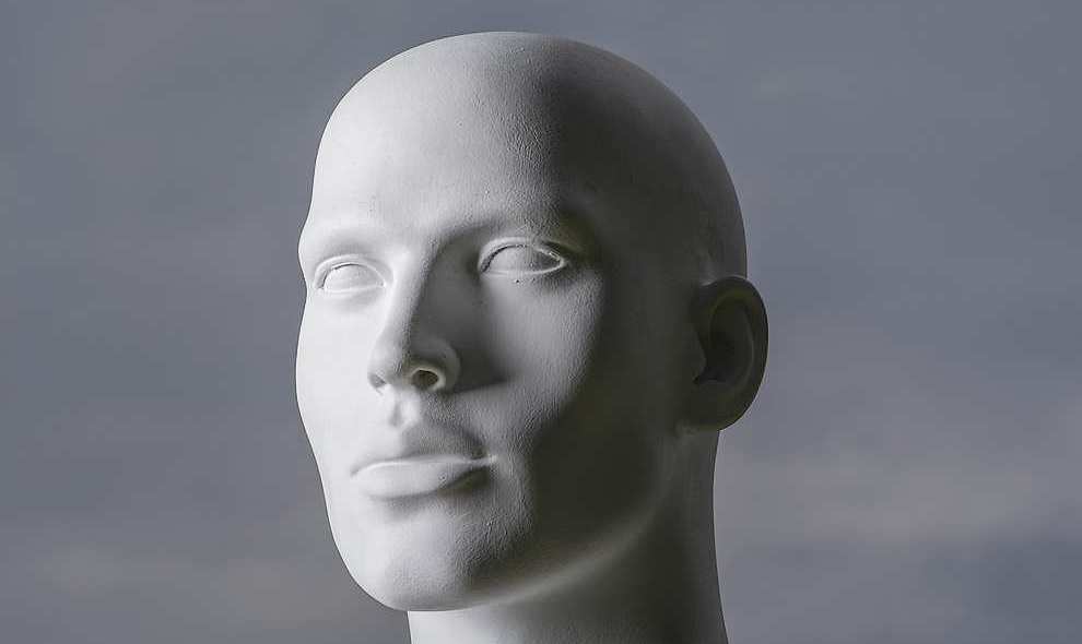 3D printed human head
