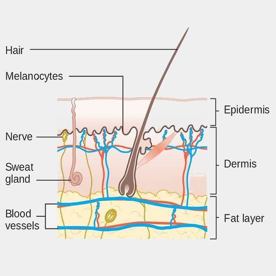 Understanding Skin Cancer | Harley Street Maxillofacial Clinic